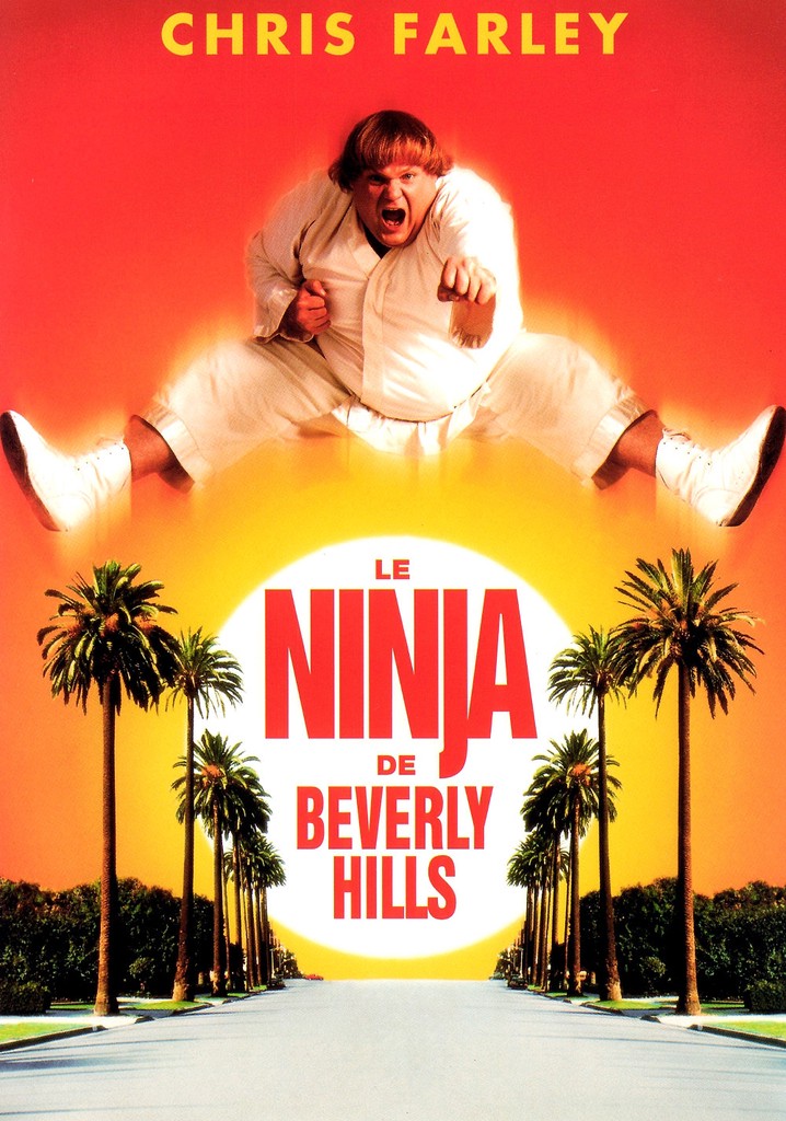 Regarder Le Ninja de Beverly Hills en streaming