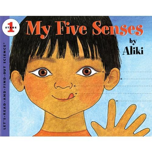 My Five Senses Paperback