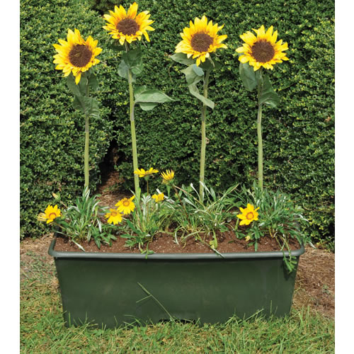 Earthbox Planting Chart Ponasa