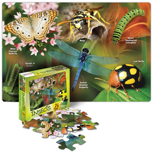 Floor Puzzles Kaplan Early Learning Company