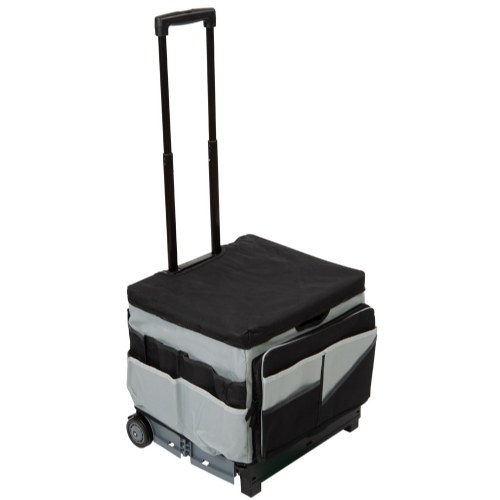 Rolling Organizer and Saddle Bag