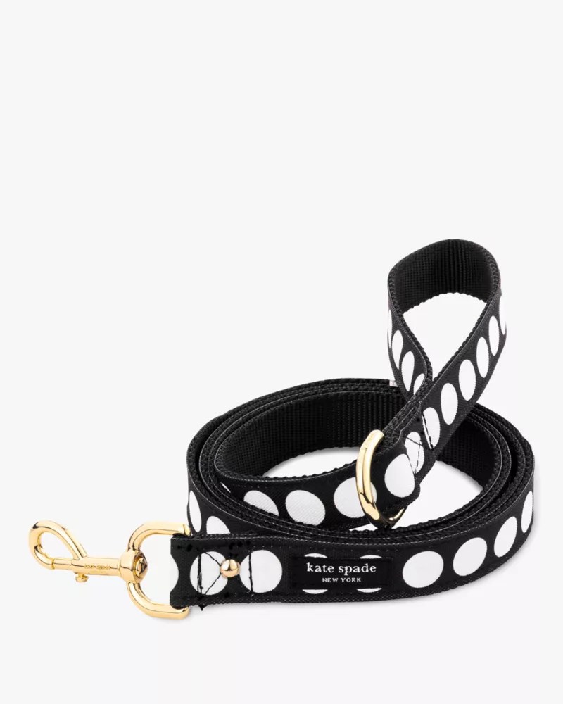 Art Dot Leash Kate Spade Outlet