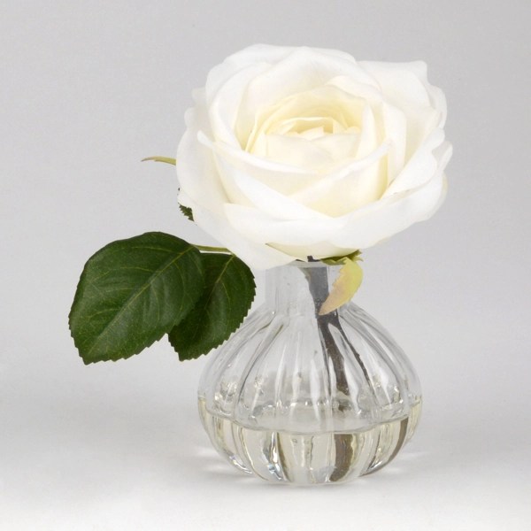 Single White Rose In Vase