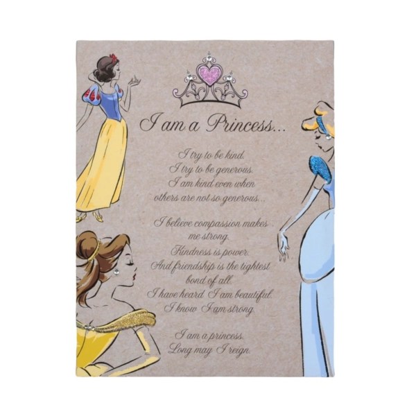 Disney Princess Canvas Wall Art / Disney princess paintings i made
