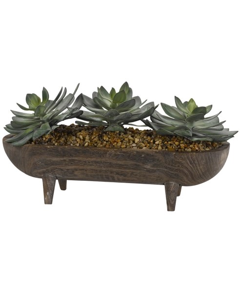 Frosted Green Echeveria in Wooden Dough Bowl Kirklands Home