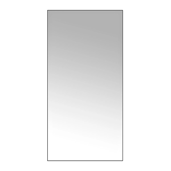 Dwell Studio Wall Mirror 24 X 58 annialexandra