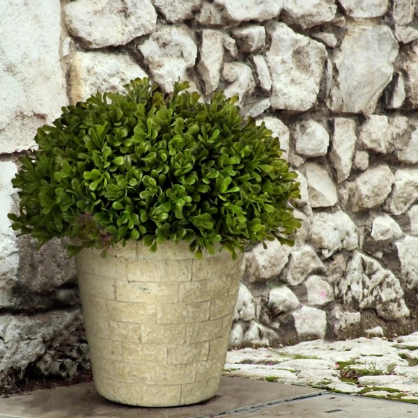 Artificial Spring Boxwood Dome Topiary, 11 in. Kirklands Home