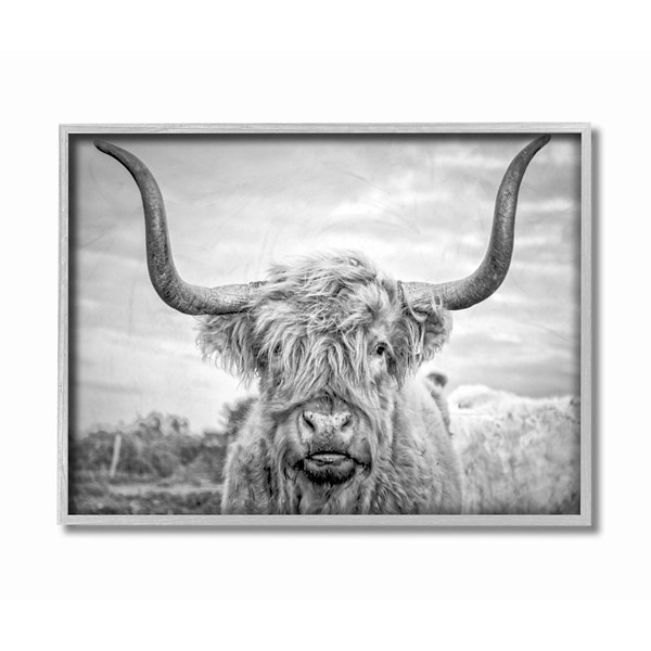 Black and White Framed Highland Cow Photograph Kirklands Home