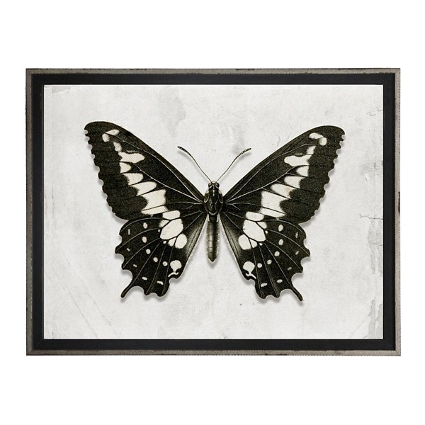Black And White Butterfly Artwork