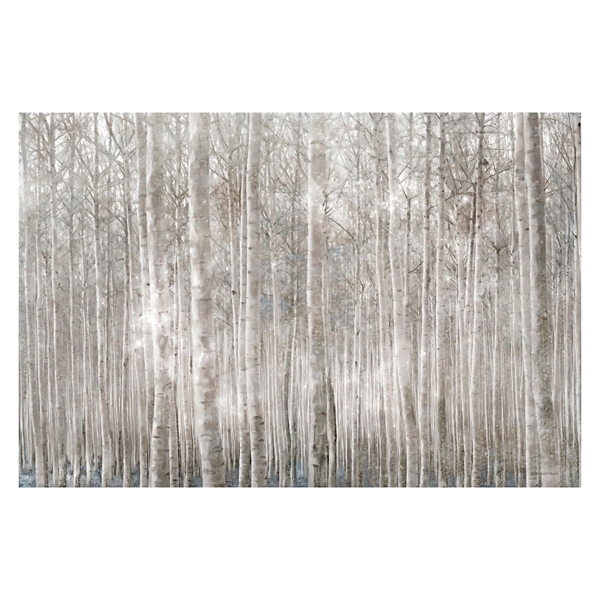 Birch Trees Canvas Art Print Kirklands Home