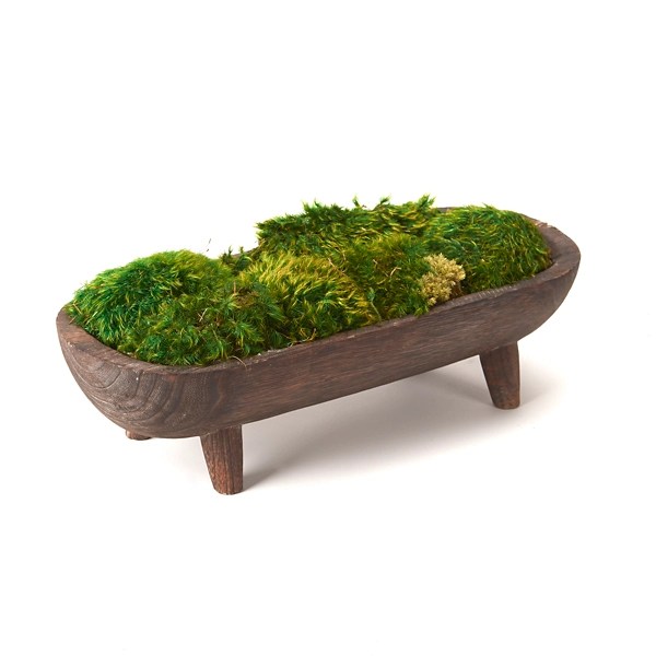 Preserved Mood Moss in Wooden Bowl with Legs Kirklands Home