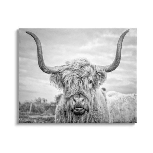 Black and White Highland Cow Canvas Art Print Kirklands Home