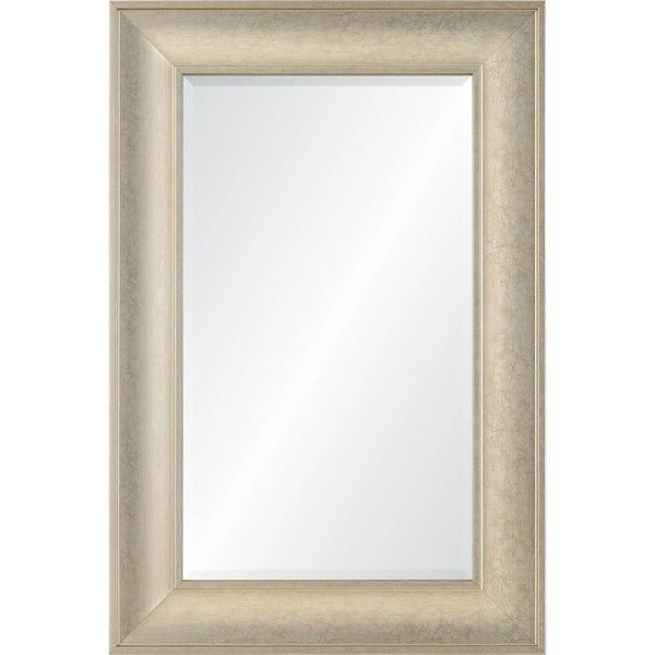Champagne Rectangle Frame Wall Mirror Kirklands Home