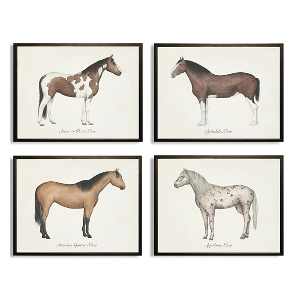 Horses Framed Art Prints, Set of 4 Kirklands Home