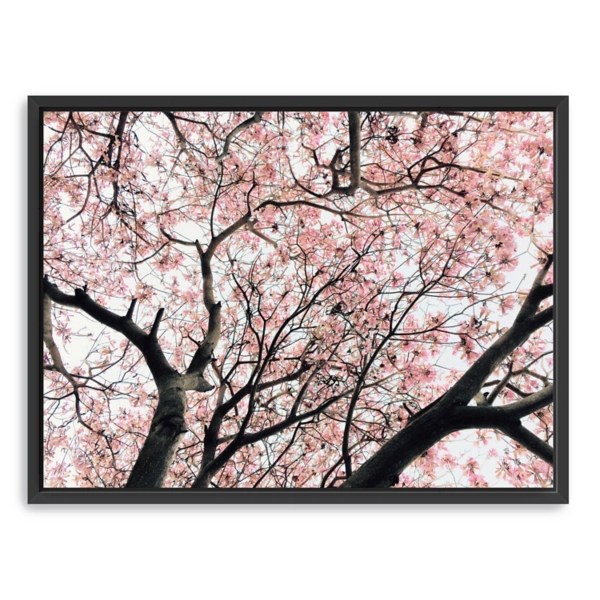 Red Cherry Blossom Painting