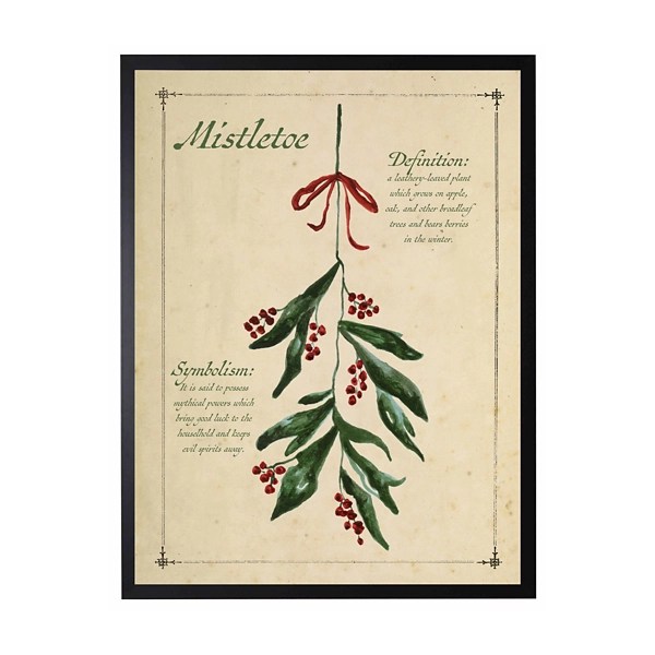 Mistletoe Definition Framed Christmas Art Print Kirklands Home