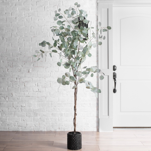 Silver Dollar Eucalyptus Tree in Brown Planter Kirklands Home