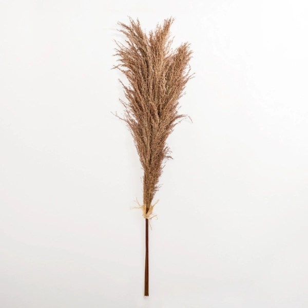 Nutmeg Pampas Grass Bundle Kirklands Home