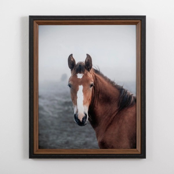Highland Horse Framed Art Print Kirklands Home