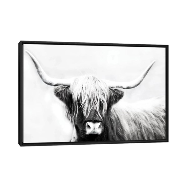 Highland Longhorn Framed Canvas Art Print Kirklands Home
