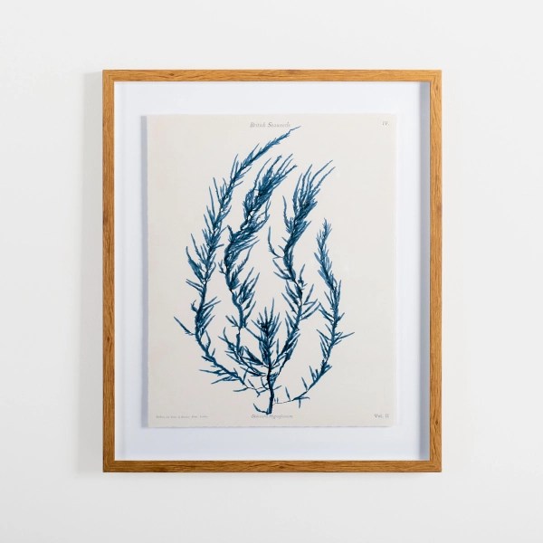 Vintage Blue Coral I Framed Art Print Kirklands Home