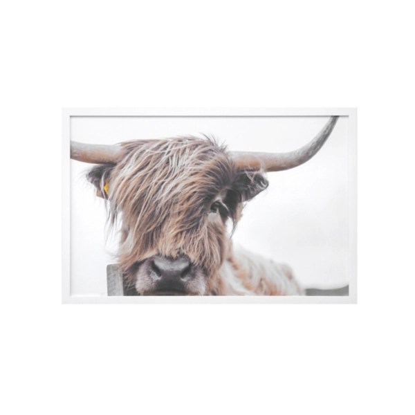 Highland Cow Framed Art Print Kirklands Home