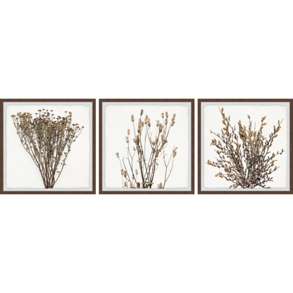 Brown Branches Framed Art Prints, Set of 3 Kirklands Home