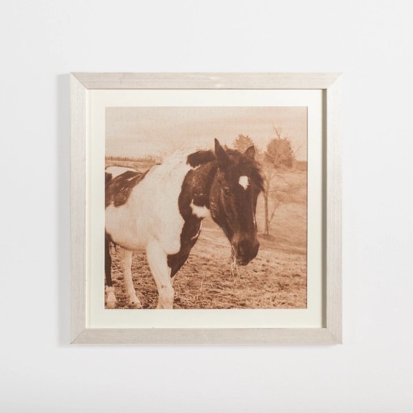 Sepia Horse on Linen Framed Art Print Kirklands Home