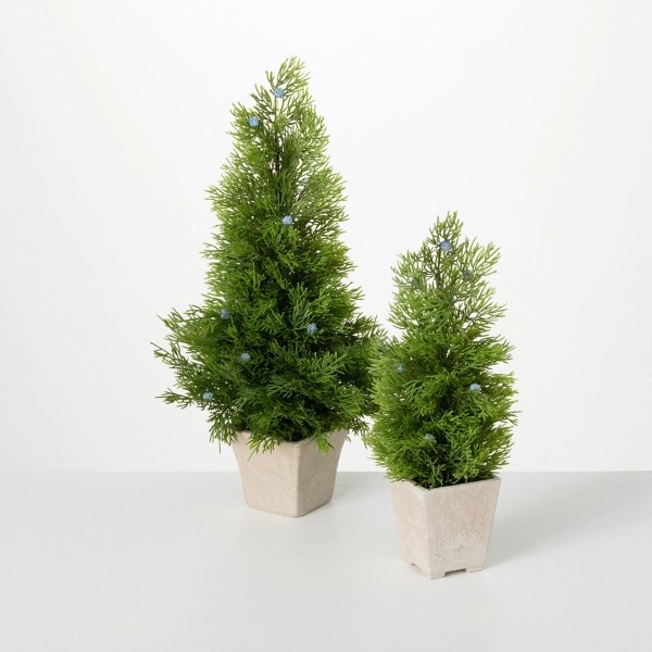 Blue Berry and Cedar Potted Trees, Set of 2 Kirklands Home
