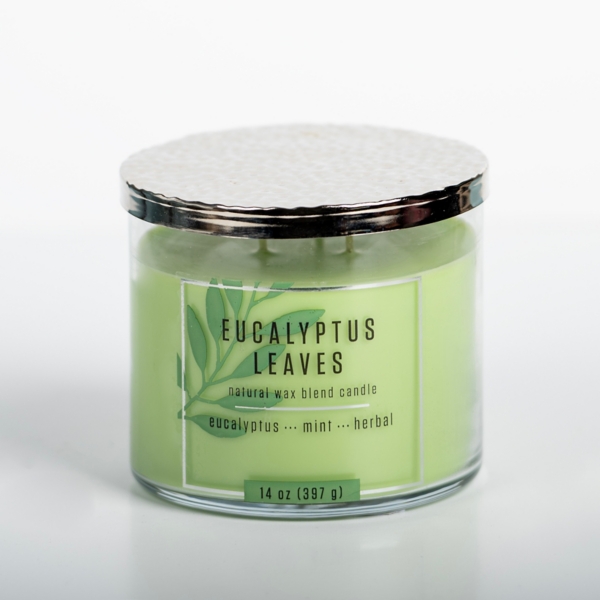 Eucalyptus Leaves Triple Wick Jar Candle Kirklands Home