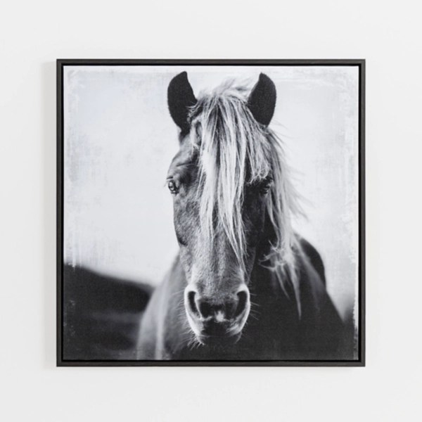 Wild Horse Framed Canvas Art Print Kirklands Home