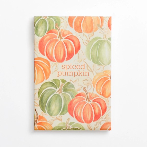 Spiced Pumpkin Sachet Kirklands Home