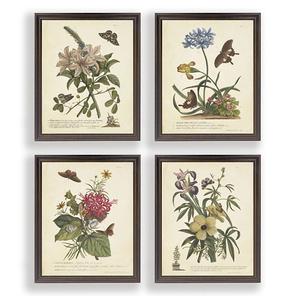 Day Butterfly Blooms Framed Art Prints, Set of 4 Kirklands Home