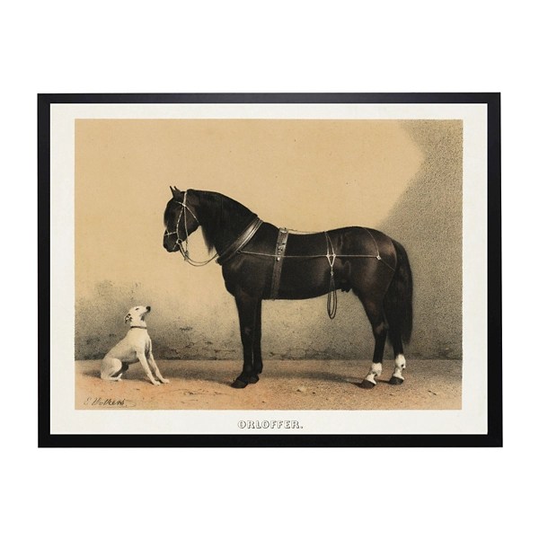 Antiqued Horse and Dog Framed Wall Art Kirklands Home