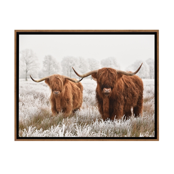 Highland Cattle Framed Art Print, 24x16 Kirklands Home