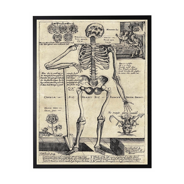 Skeleton Poster Framed Halloween Wall Plaque Kirklands Home