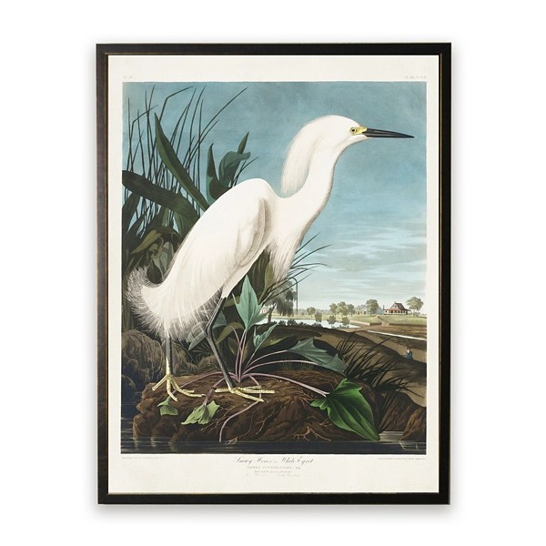 Vintage White Egret Bookplate Framed Art Print Kirklands Home
