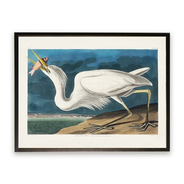 Vintage White Pelican With Fish Framed Art Print Kirklands Home
