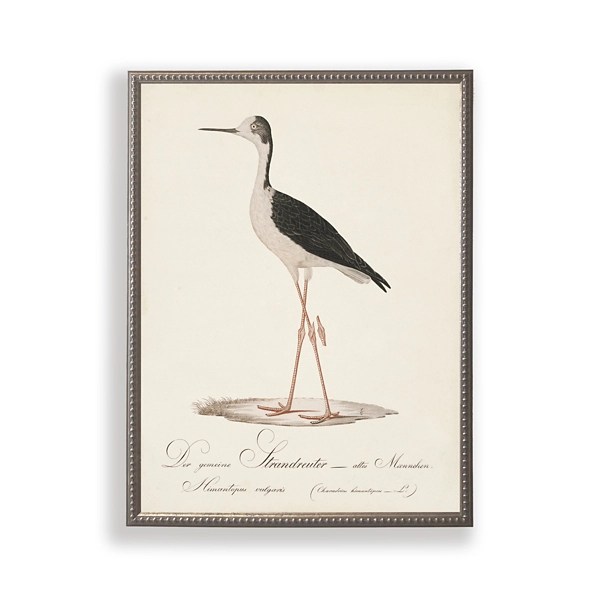 Vintage Waterbird Facing Left Framed Art Print Kirklands Home
