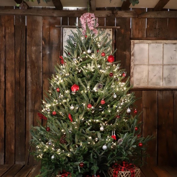 7 ft. Fresh Cut Fraser Fir Christmas Tree Kirklands Home
