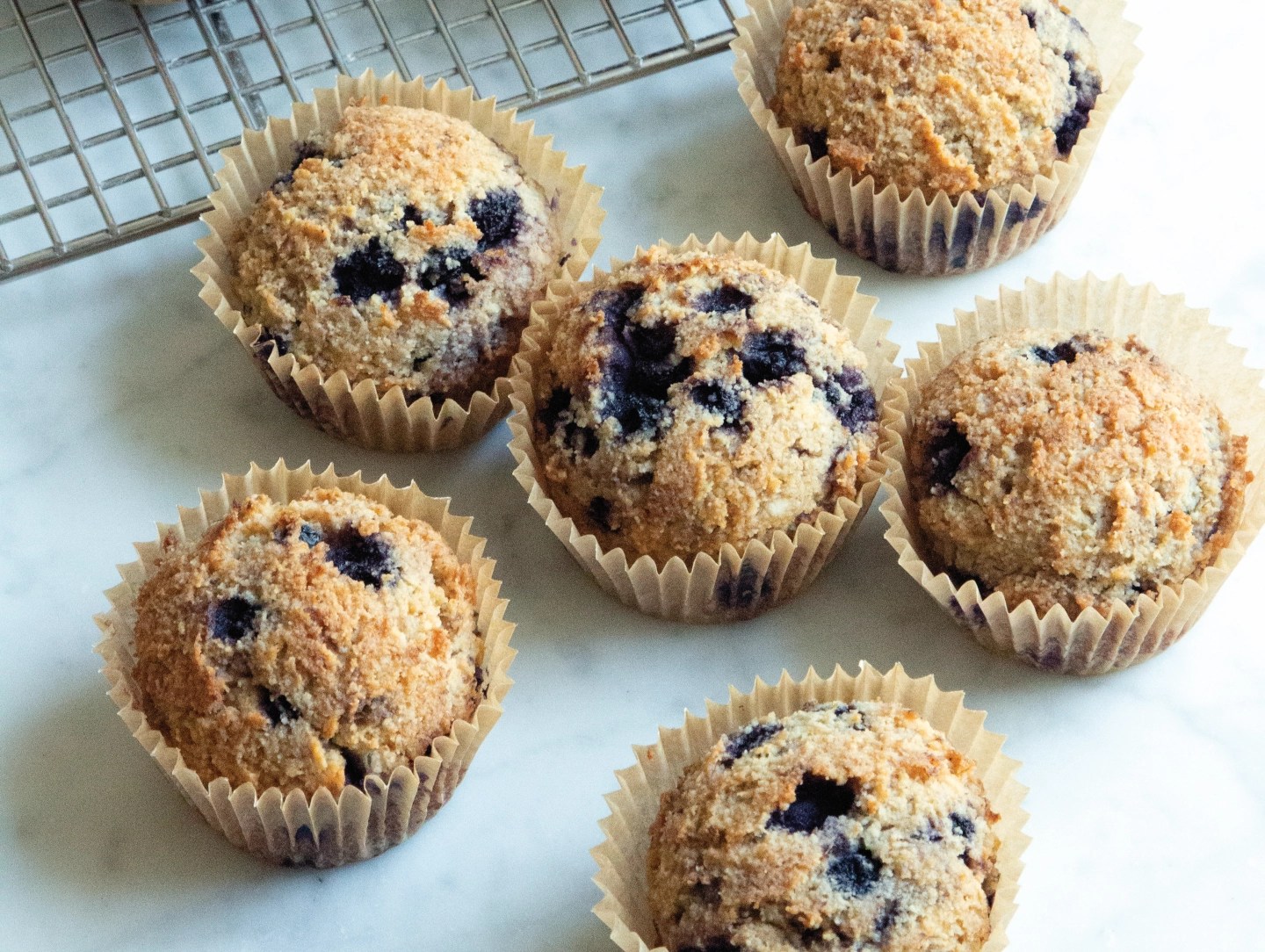 Grain Free Wild Blueberry Muffins