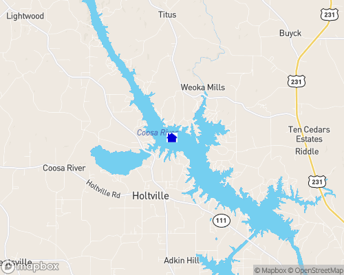 Jordan Lake Homes for Sale Real Estate Lakefront Property AL Waterfront