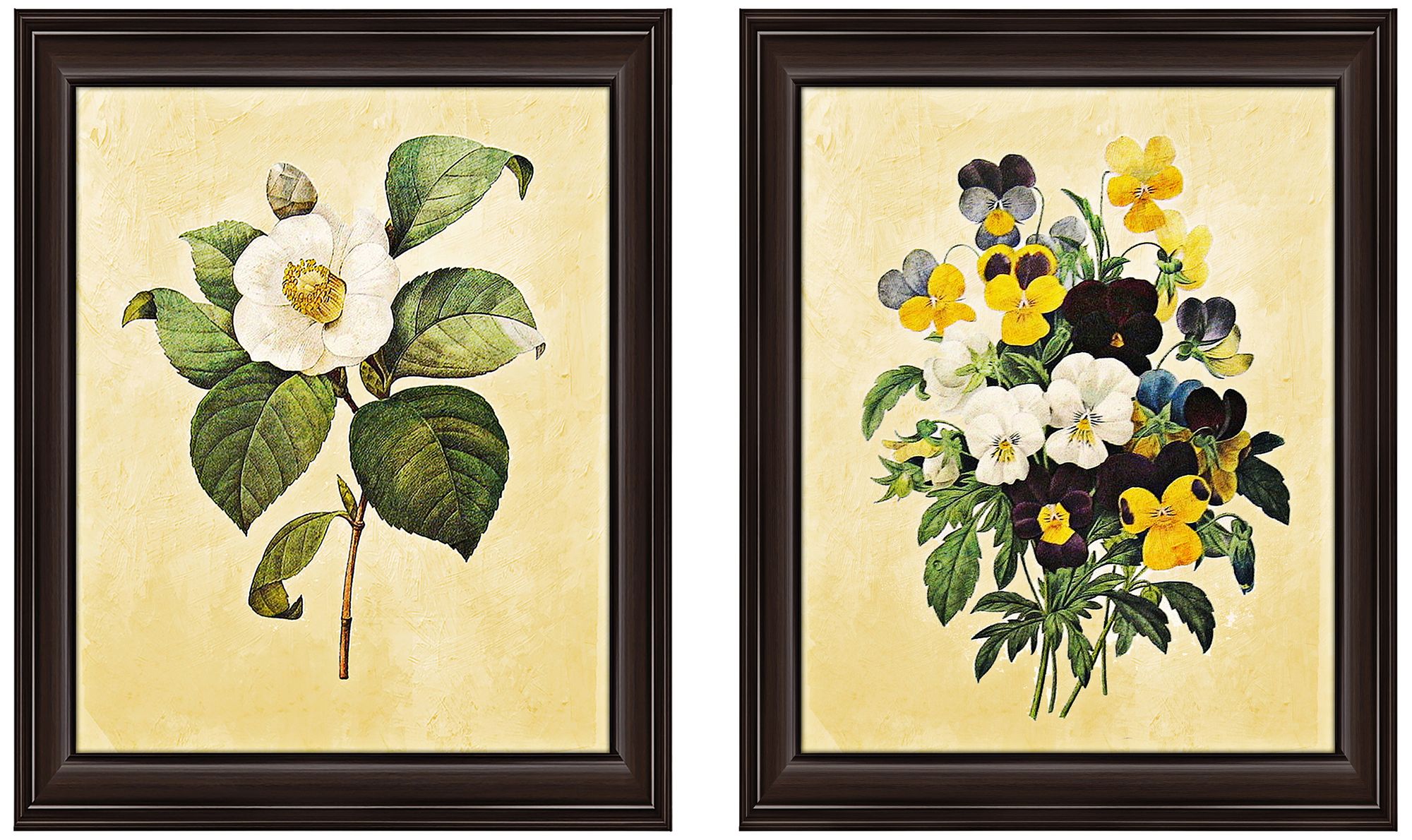 Botanicals 23 1/2" High 2Piece Framed Giclee Wall Art Set 12N93