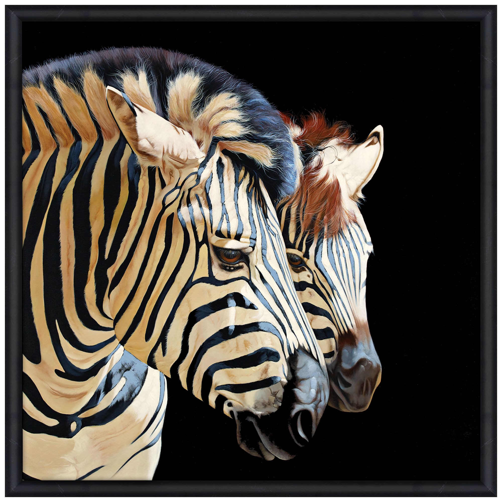 Zebras 39" Square Endangered Animal Print Framed Wall Art 1N545