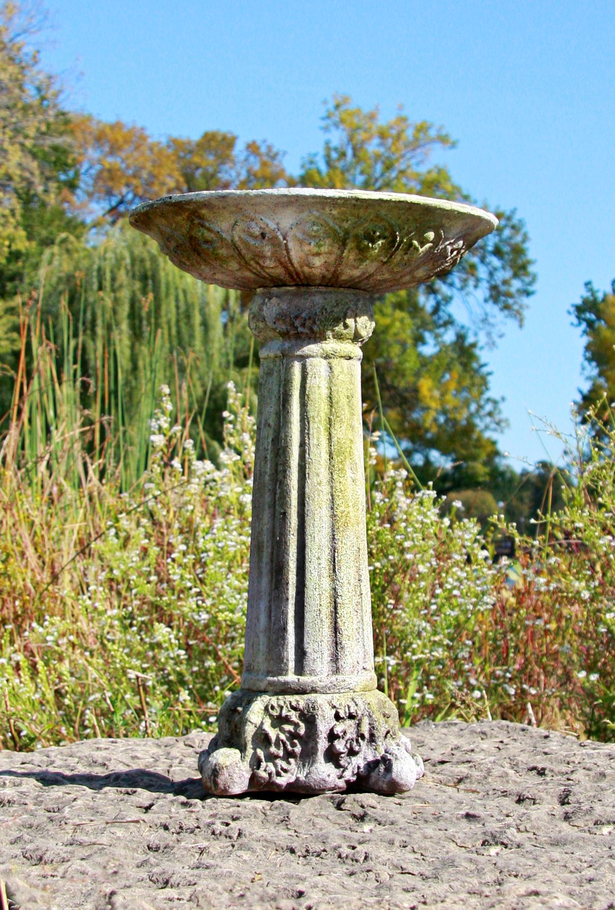 Corinthian 22" High White Moss Outdoor Bird Bath 22T96 Lamps Plus