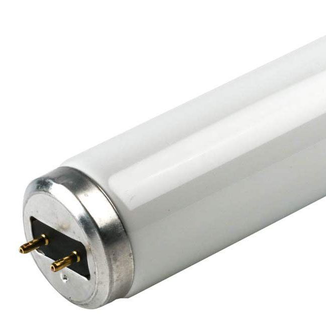 25 Watt BiPin Base Cool White Fluorescent Tube Light Bulb 32062