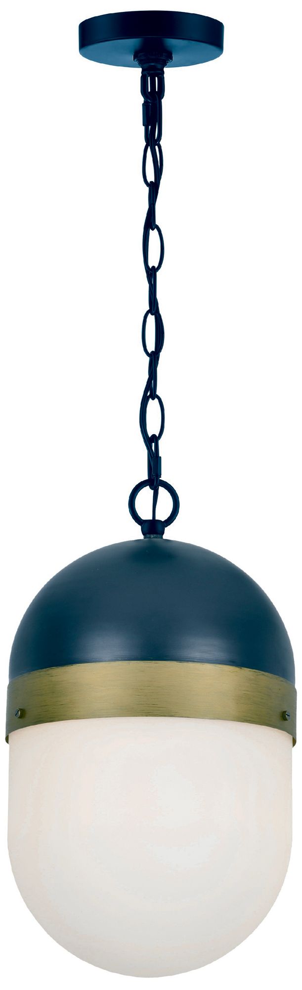 Capsule 13 1/4" High Matte Black and Gold Outdoor Hanging Light