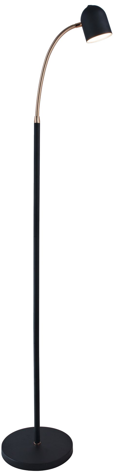 Lite Source Tiara Black LED Gooseneck Floor Lamp 69F98