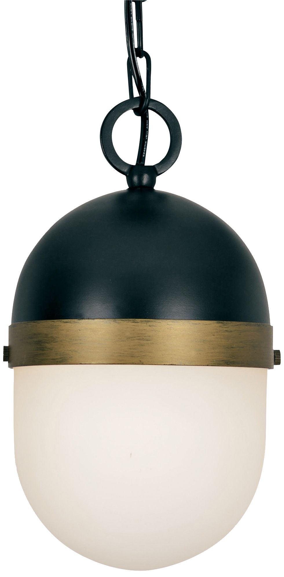 Capsule 11" High Matte Black and Gold Outdoor Hanging Light 72Y24