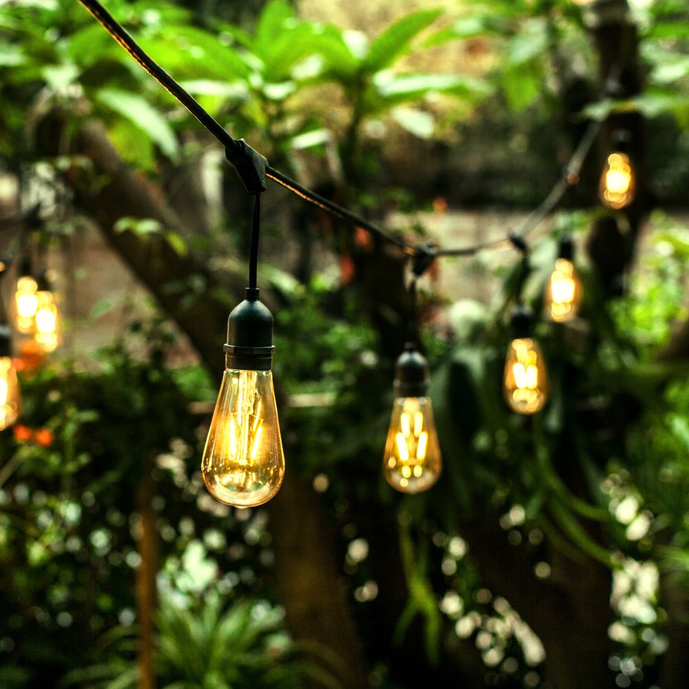 Party Lights and Outdoor String Lights Lamps Plus